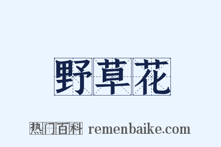 野草花是什么意思的图片